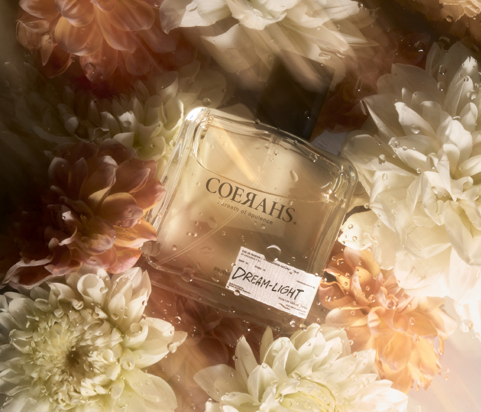 イメージ_ドリームライト