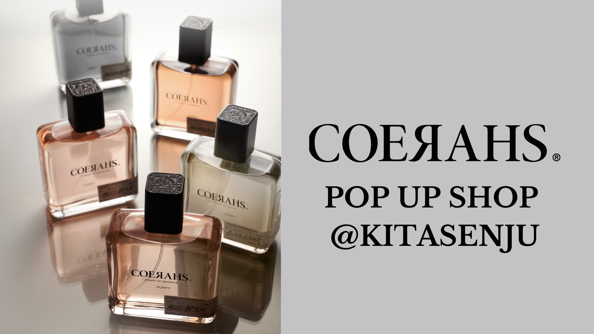 【コエラス】POP UP SHOP 開催!!〈北千住マルイ店〉